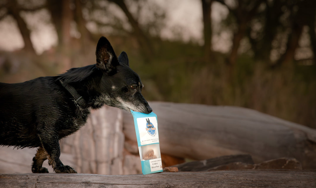Dog and Cat Treats