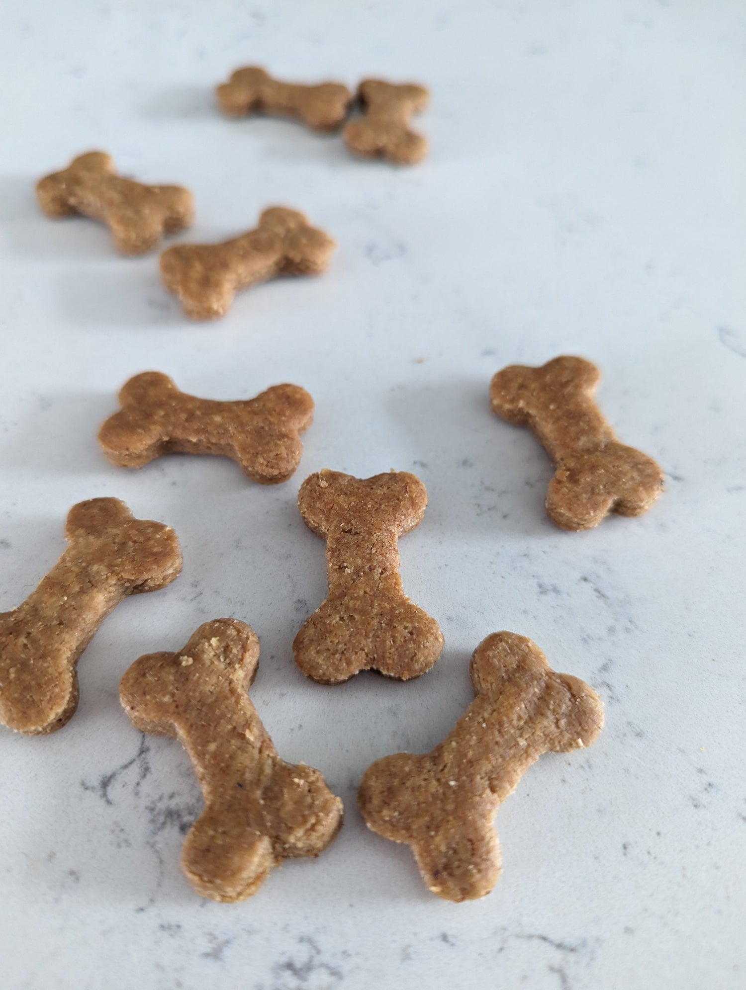 Dog Treats