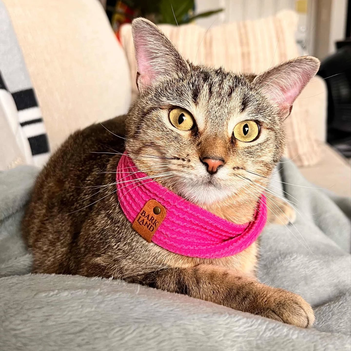 Rib Knit Fabric Scarves